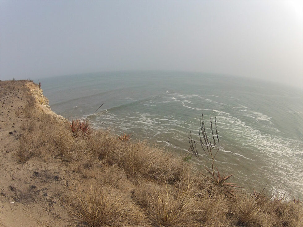 Terminal Oceânico da Barra do Dande | Trifolio